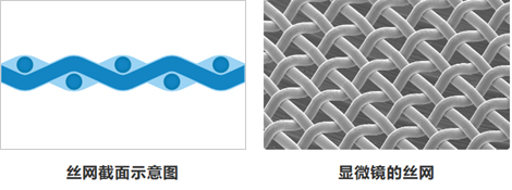麻豆视频APP下载污-3.jpg